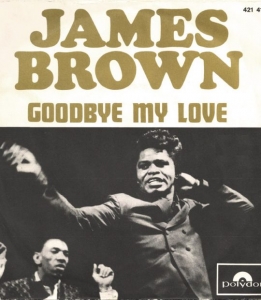 James Brown - Goobye my love